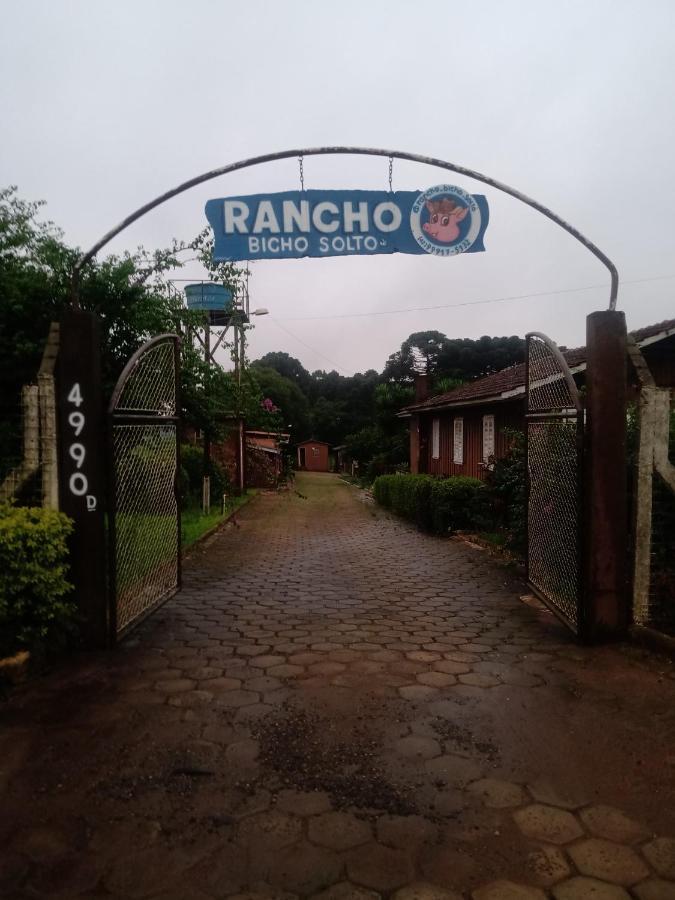 Hostel & Pousada Rancho Bicho Solto Ponta Grossa  Exterior photo